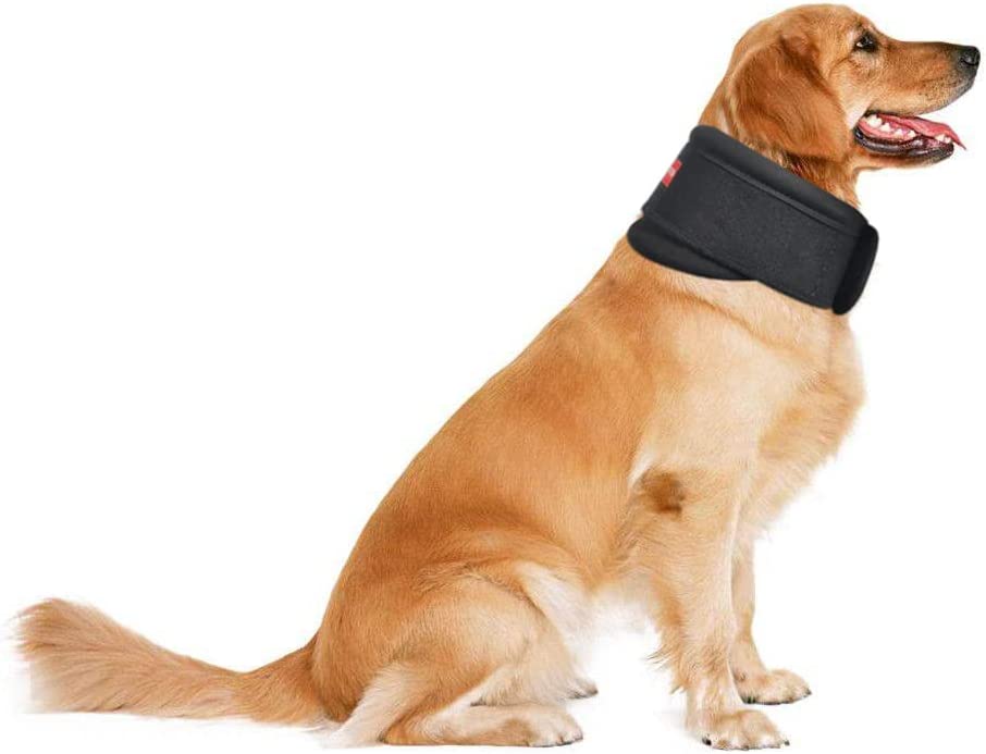 BUVUB Dog Protective Collar Brace Post Surgery