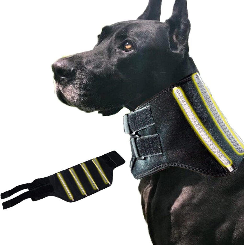 Neck Braces For Dogs Reviewed 2023 Protection And Recovery Collars